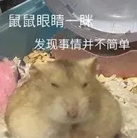 高考英语_university entrance examination_college entrance examination